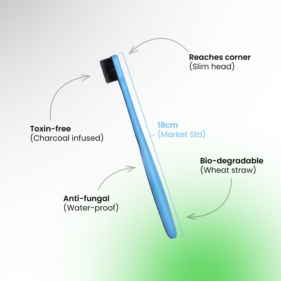 Fresh Mornings, Daily